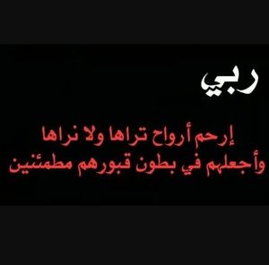 Meet your Posher, Widad